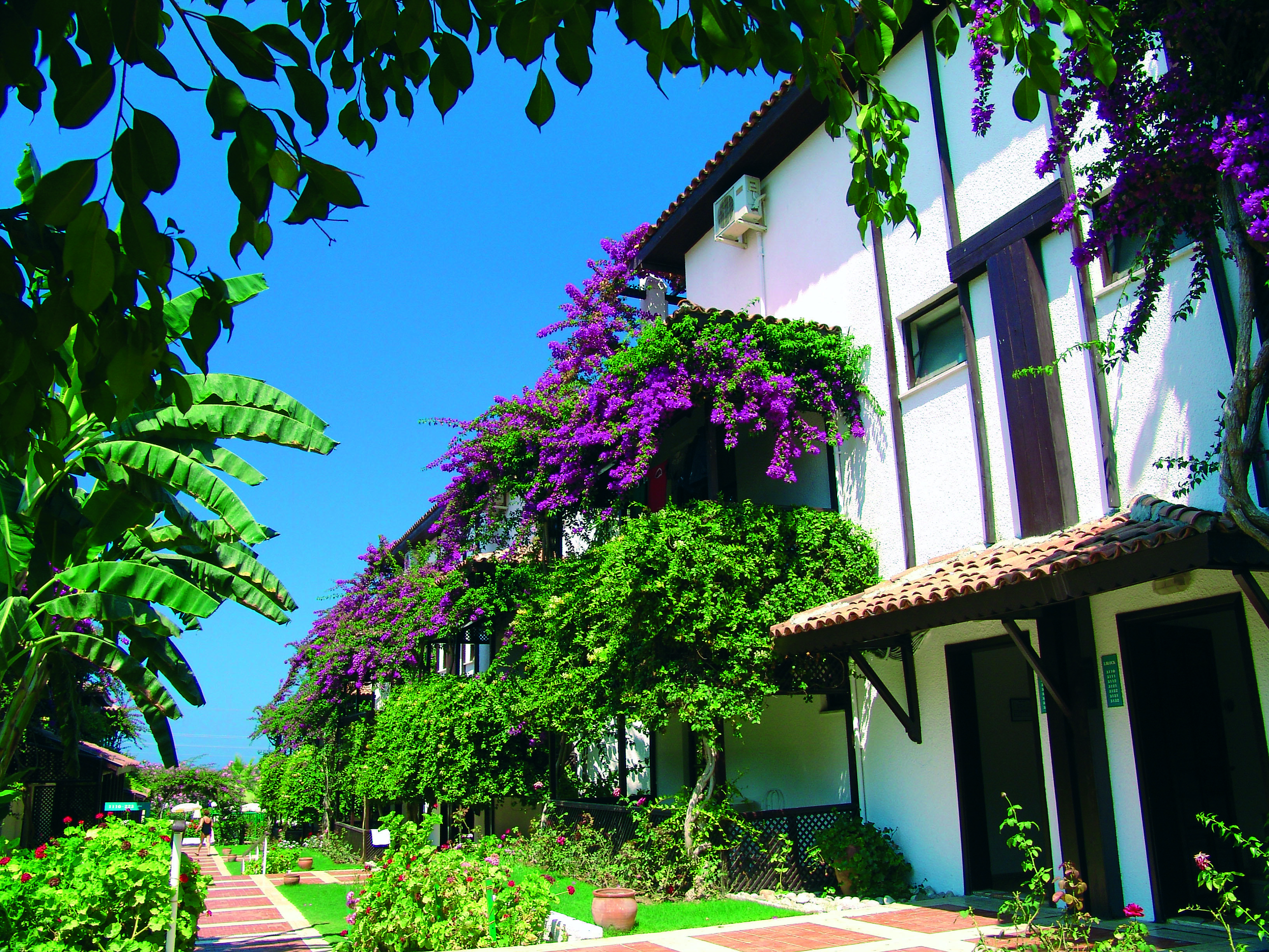 Titan Club Hotel Ultra All Inclusive Kargicak  Exterior photo